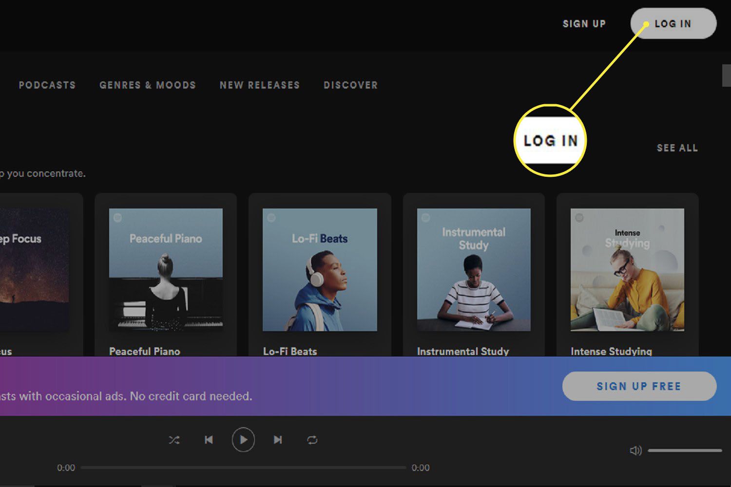 LOG IN-knop voor Spotify Web Player