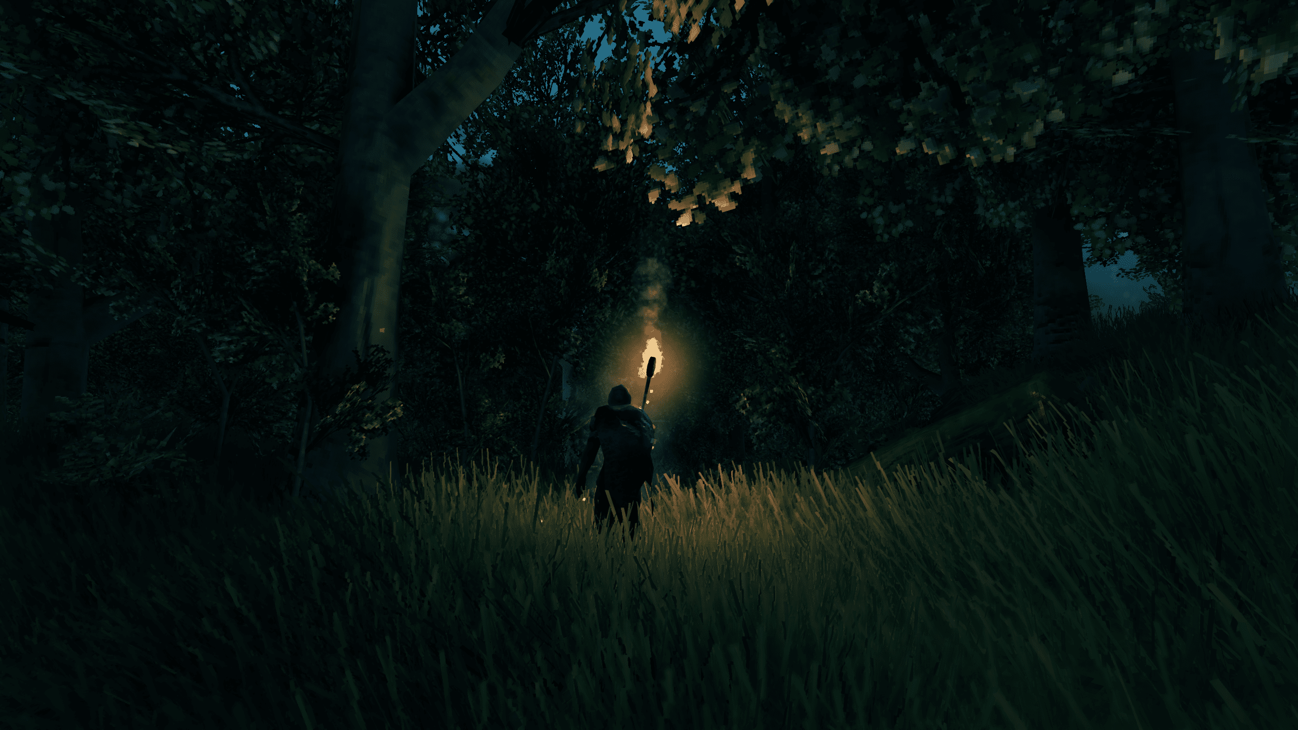 Valheim-personage dat 's nachts het bos verkent terwijl hij een fakkel vasthoudt