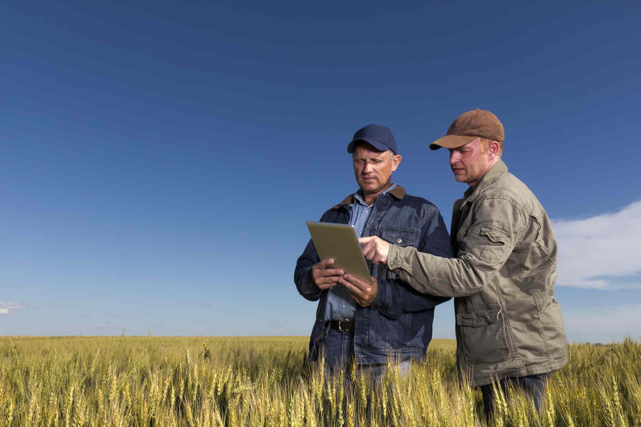 twee boeren die een tablet gebruiken terwijl ze in een veld staan