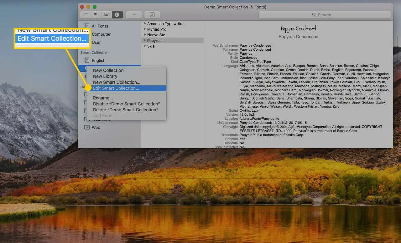 Lettertypeboek op een Mac met de optie Slimme verzameling bewerken gemarkeerd