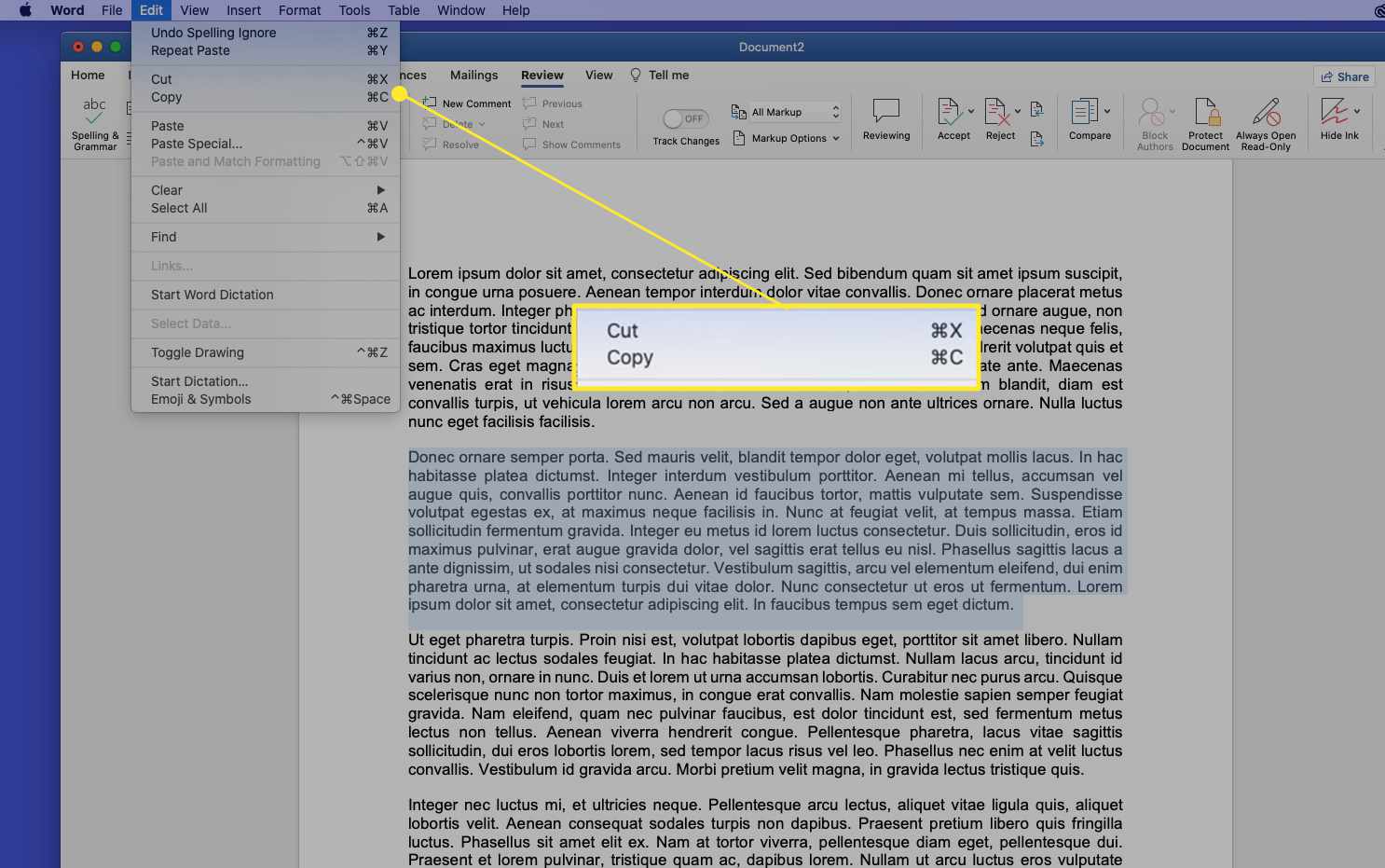 Word-document op een Mac met de opdrachten Knippen en Kopiëren gemarkeerd