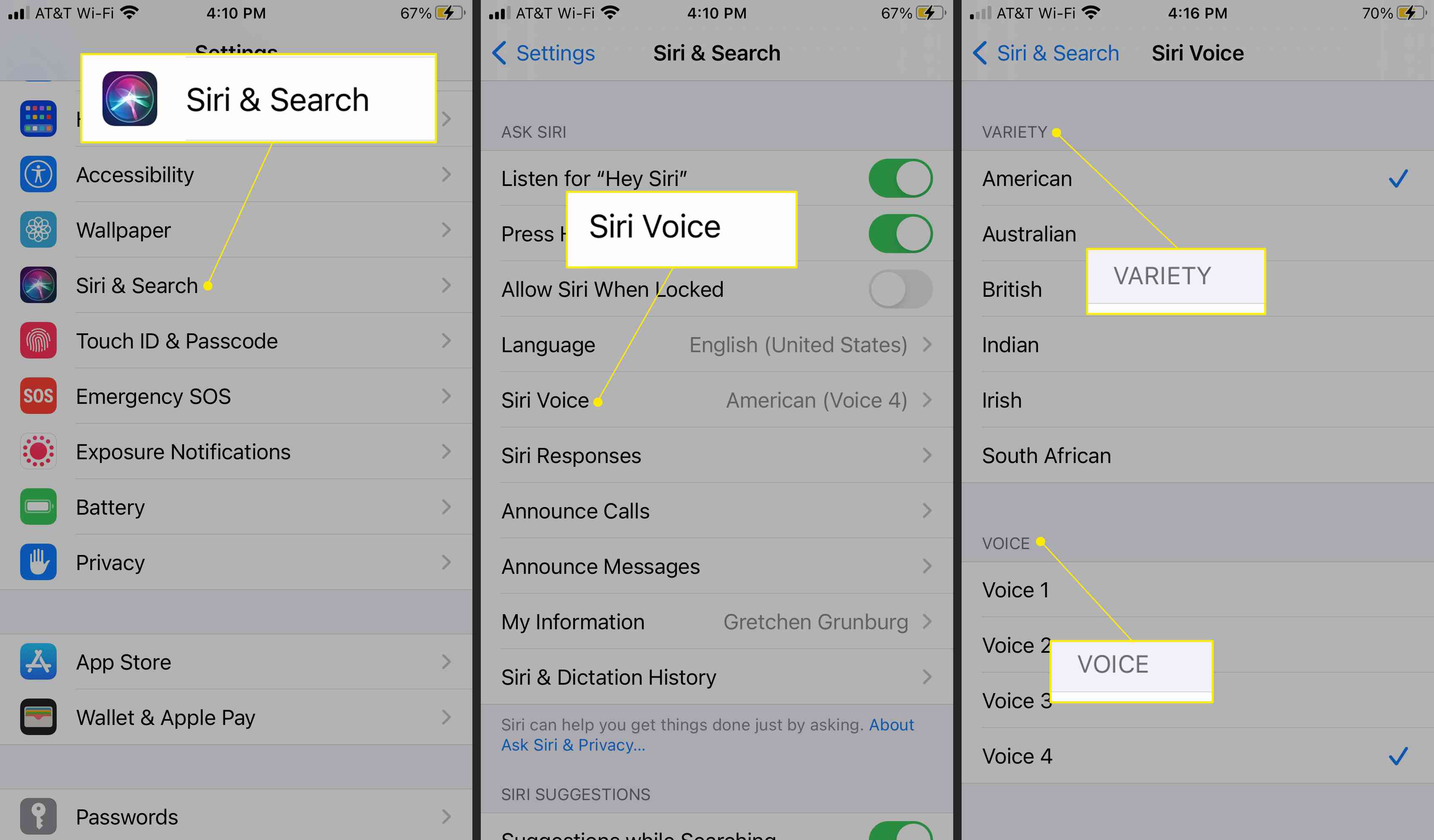 iPhone-instellingen met Siri & Search, Siri Voice en Variety en Voice-opties gemarkeerd