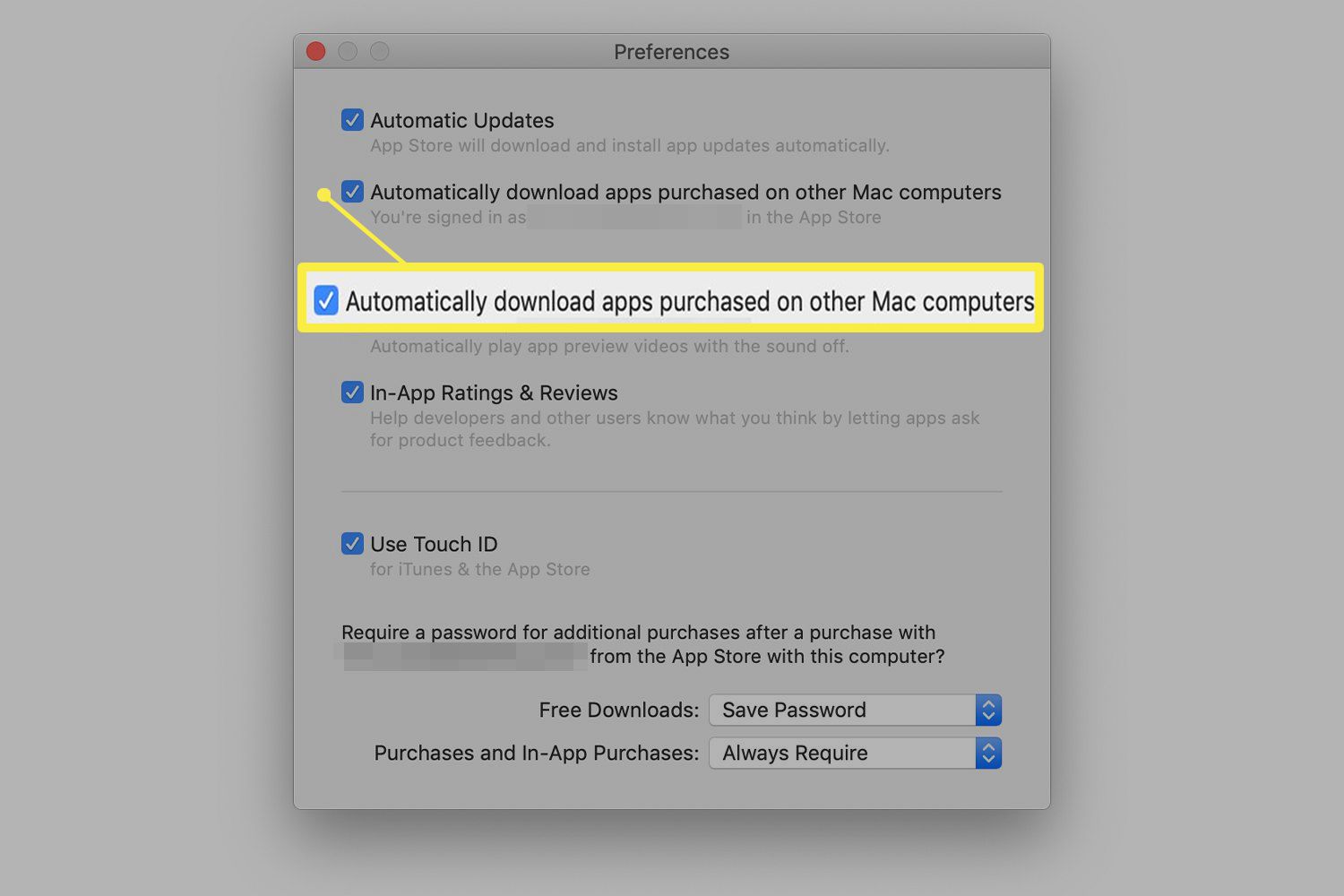 Apple Store-voorkeuren met opties voor automatische updates