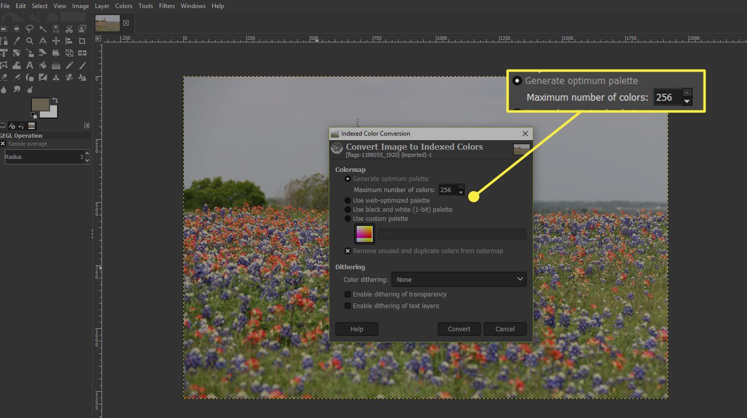 Een screenshot van het geïndexeerde kleurconversievenster van GIMP met de with "Optimaal palet genereren" en "Maximaal aantal kleuren" opties gemarkeerd