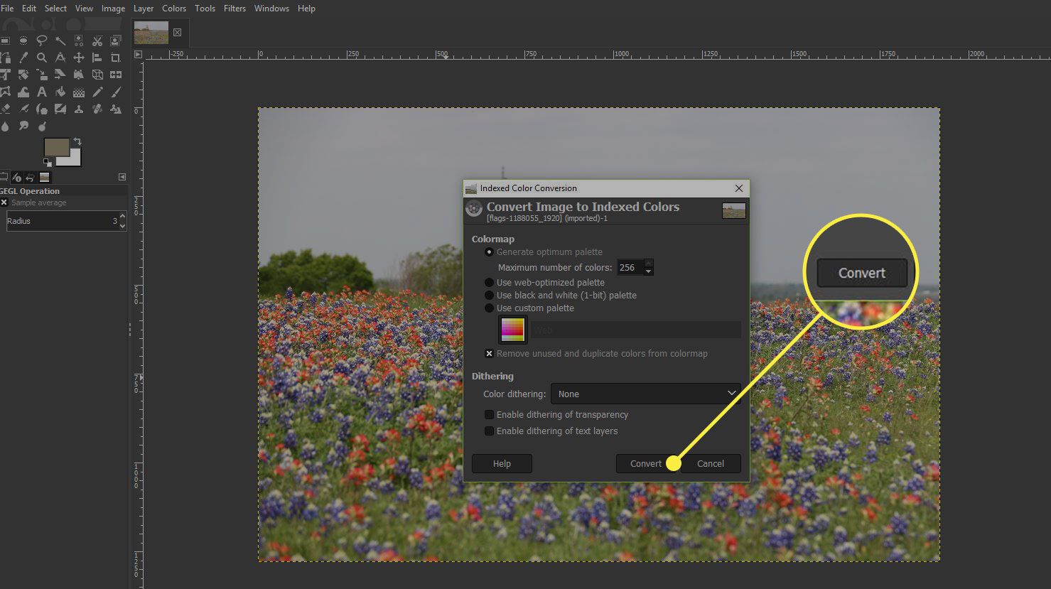 Een schermafbeelding van het venster Geïndexeerde kleurconversie van GIMP met de knop Converteren gemarkeerd