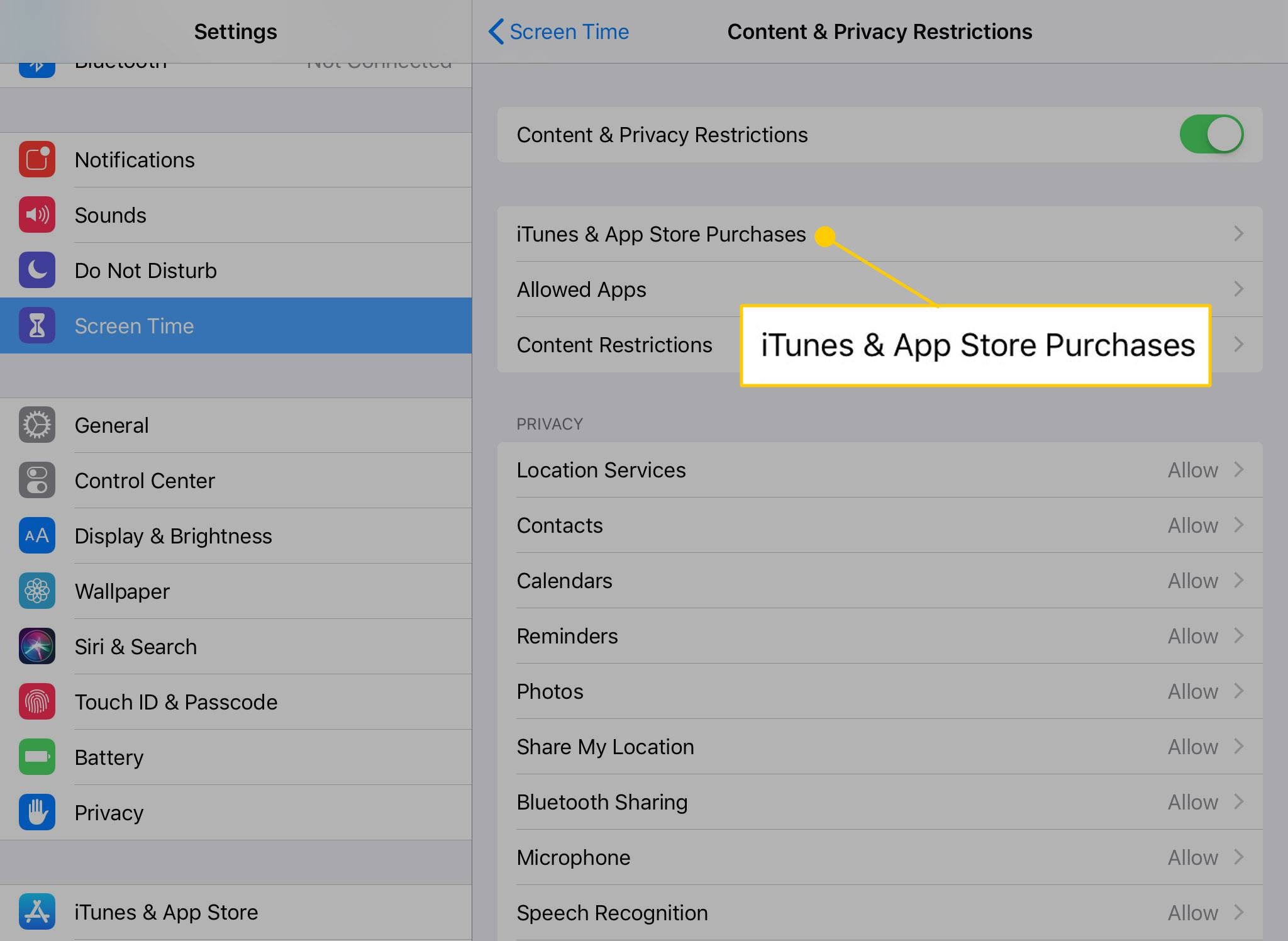 iTunes- en App Store-aankopenmenu op iPad