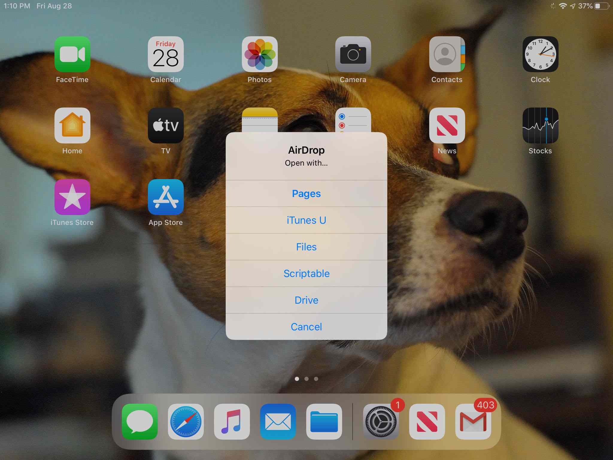 Een bestand ontvangen via AirDrop op een iPad.