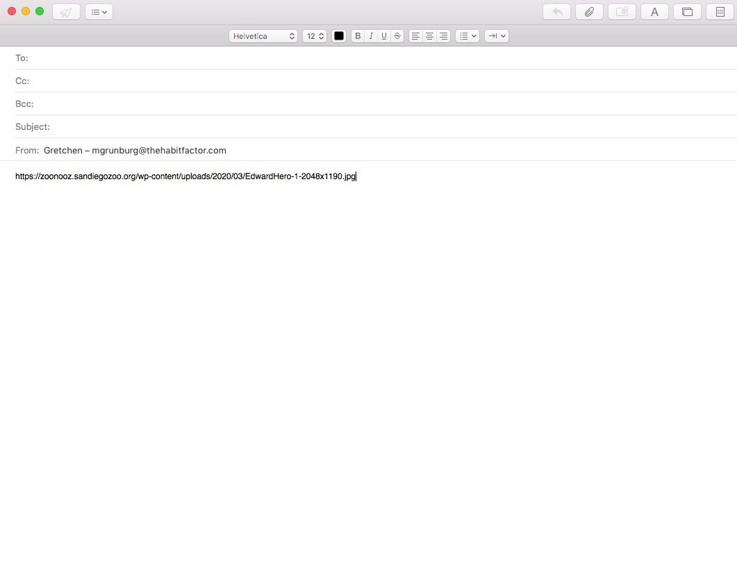 Screenshot van het kopiëren van de URL van een afbeelding in Chrome en plakken in een e-mail