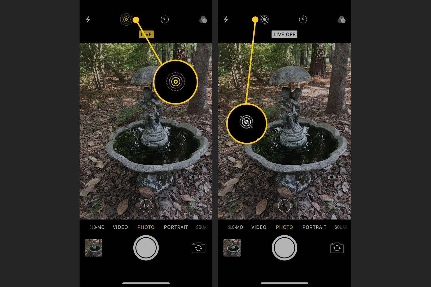 iOS Camera-app met de Live Photo-indicator gemarkeerd