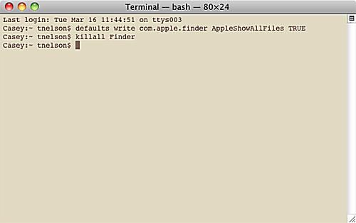 Mac Terminal-interface