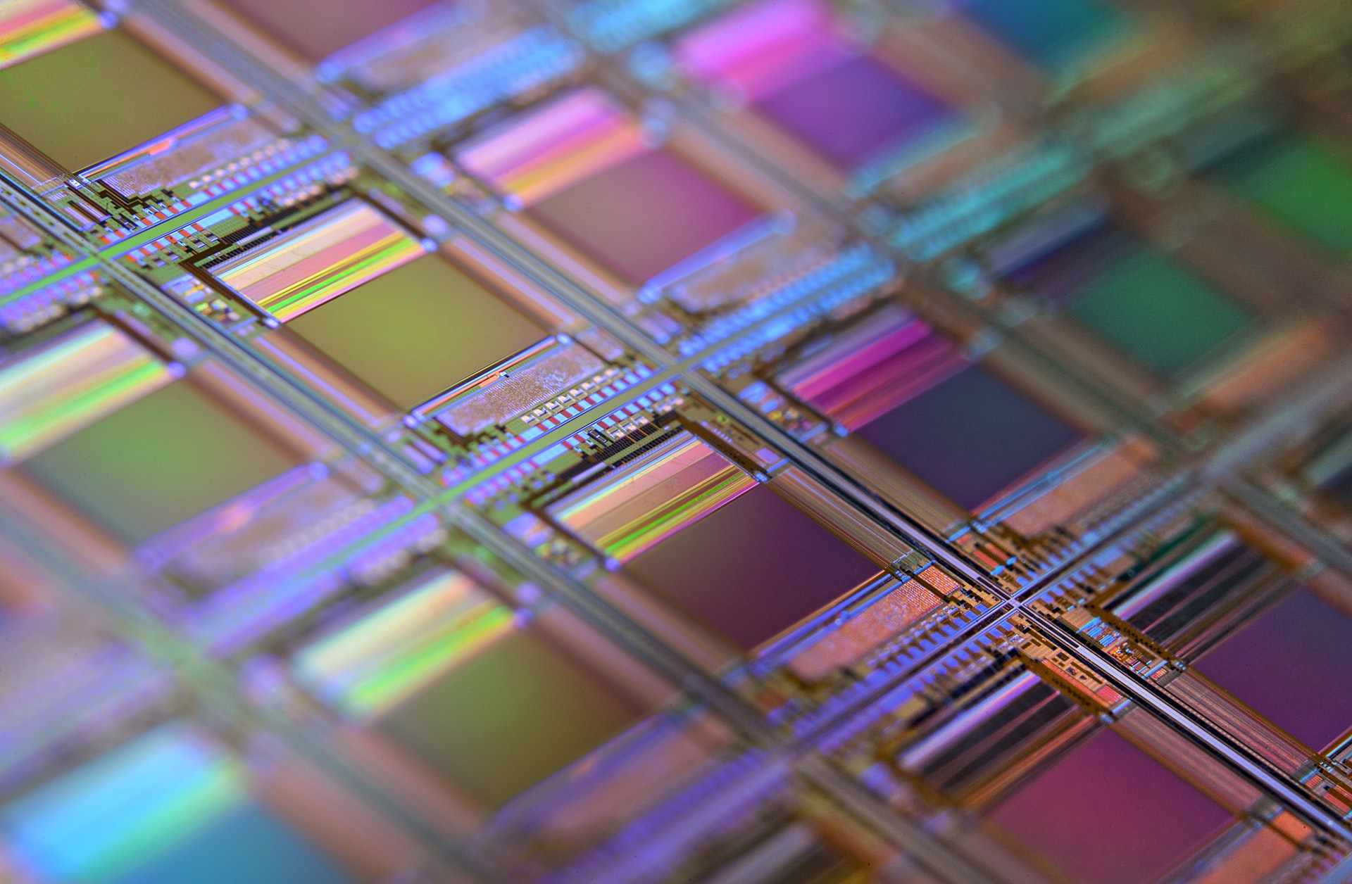 Macro van een siliciumwafel, elk vierkant is een chip met microscopisch kleine transistors en circuits.