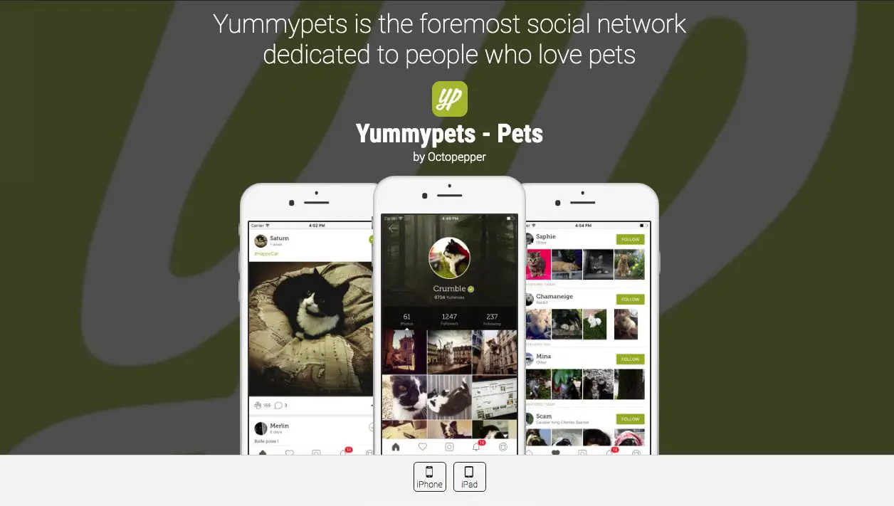 Screenshot van de Yummypets-app voor huisdierencommunity