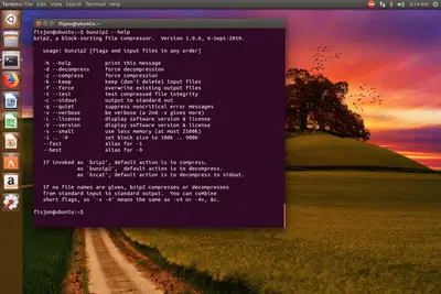bunzip2 Ubuntu-opdrachtinformatie