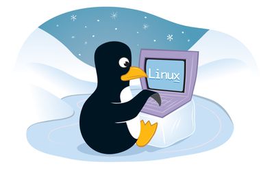 Tux de pinguïn is de officiële Linux-mascotte.