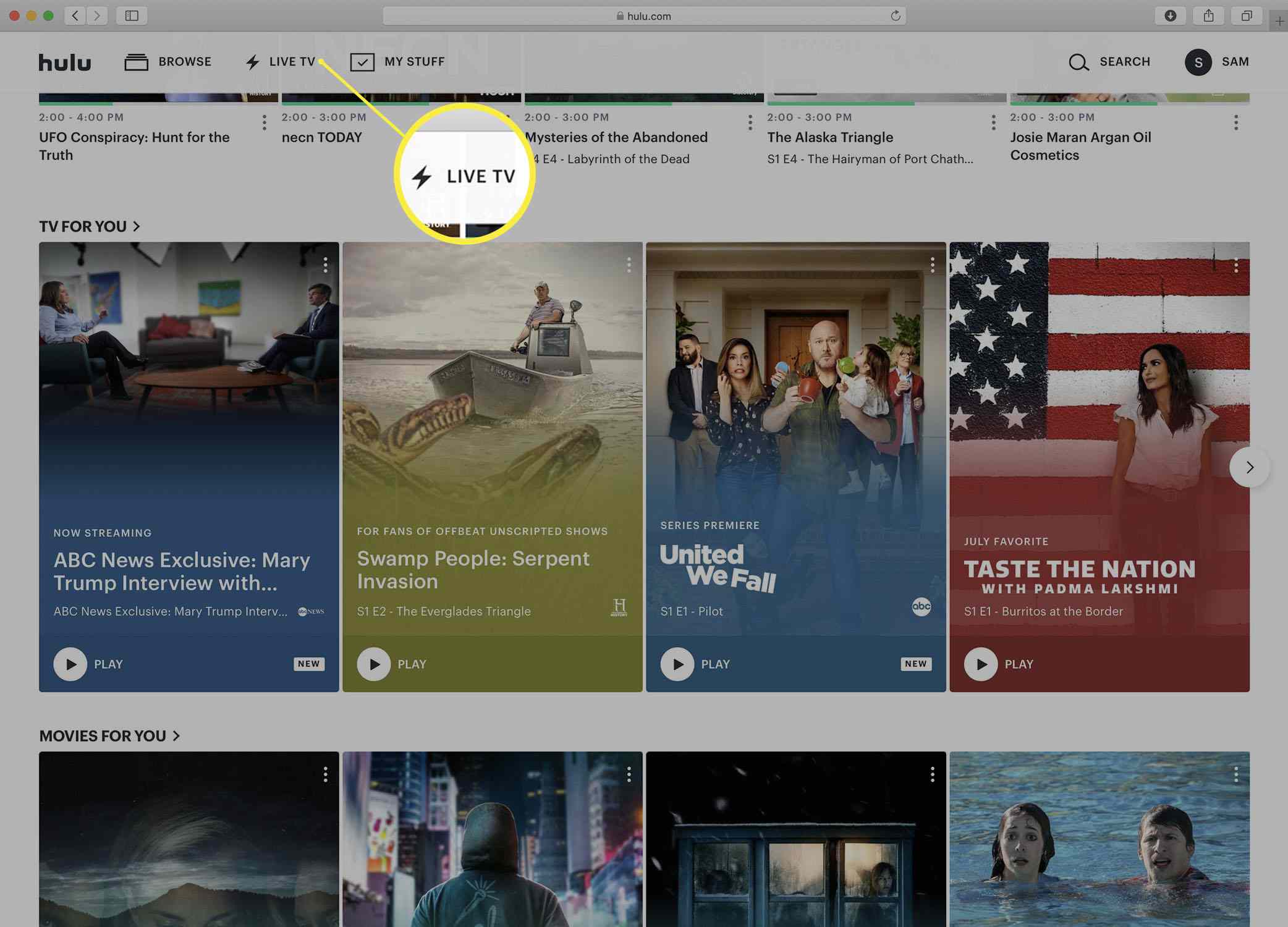 Screenshot van de Hulu-homepage.