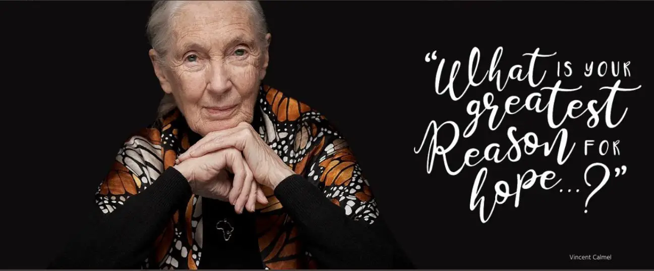 Jane Goodall op Twitter