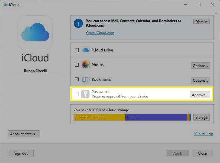 De iCloud voor Windows-app met het gemarkeerde veld Wachtwoorden draait op Windows 10.