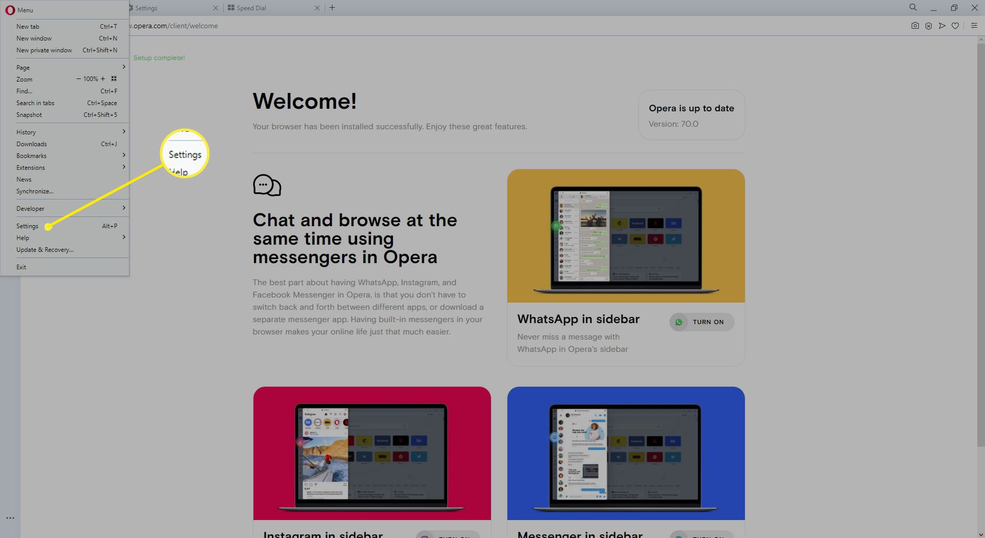 Submenu Instellingen in Opera-browser