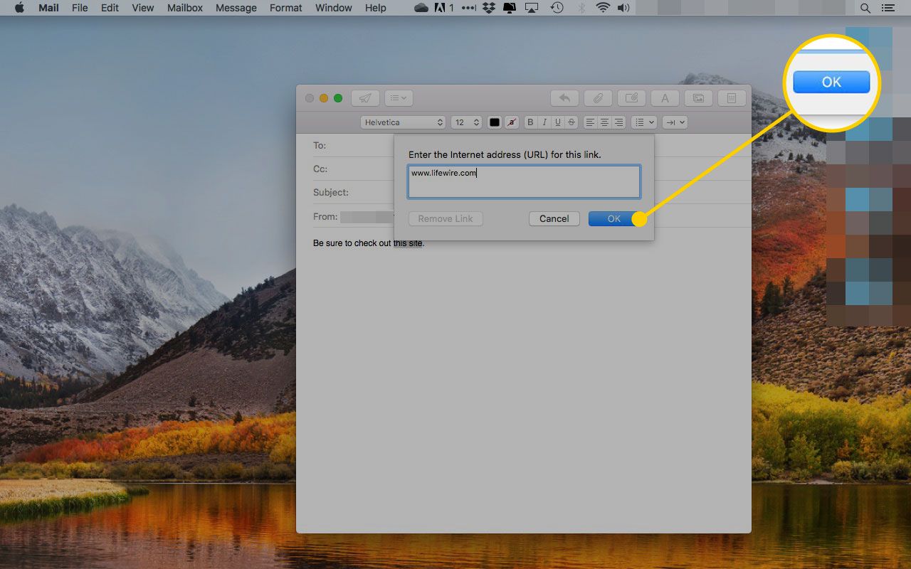 Het dialoogvenster Koppeling toevoegen in Mail voor macOS met de knop OK gemarkeerd