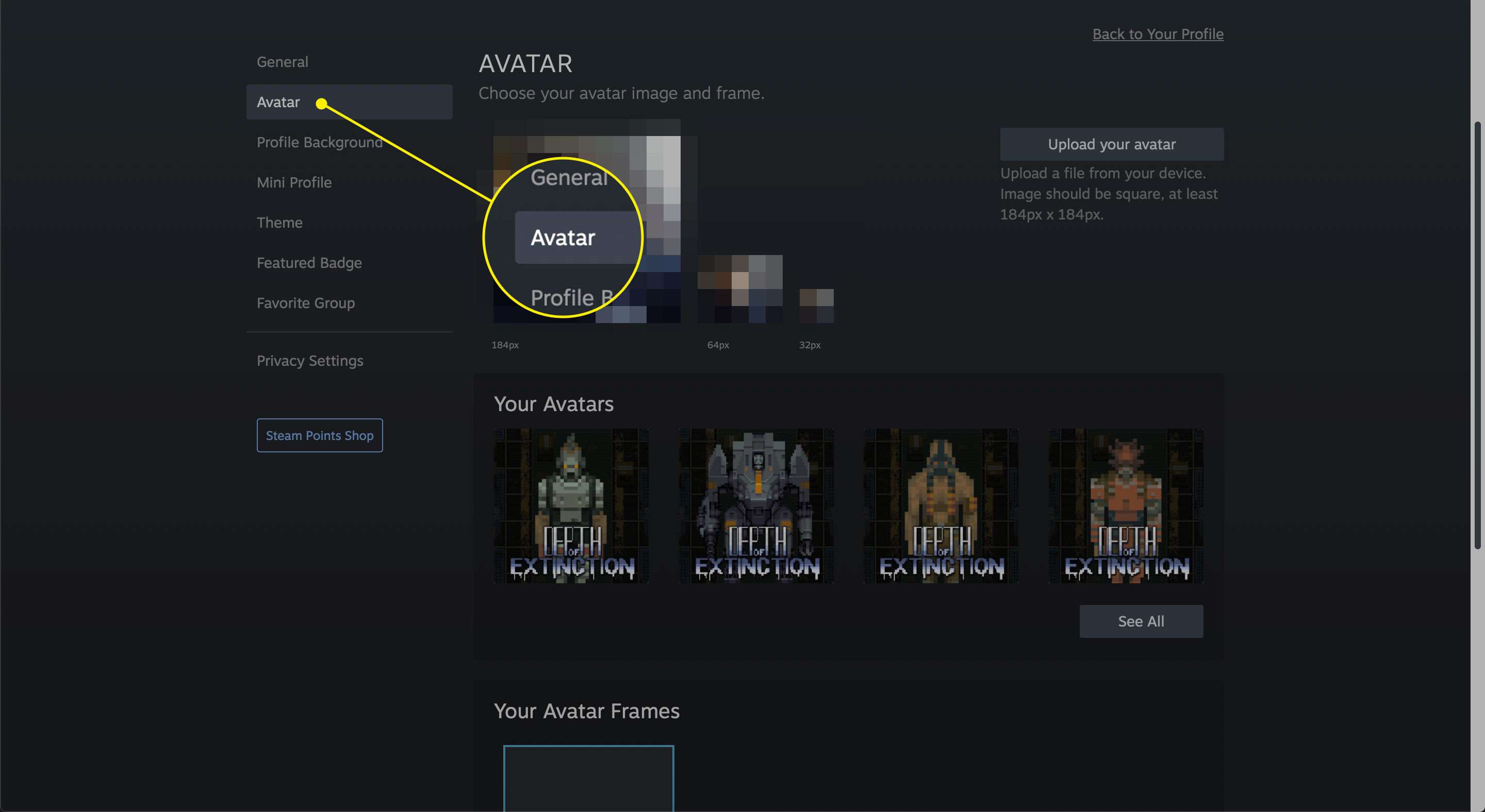 Het Avatar-item in een Steam-profiel