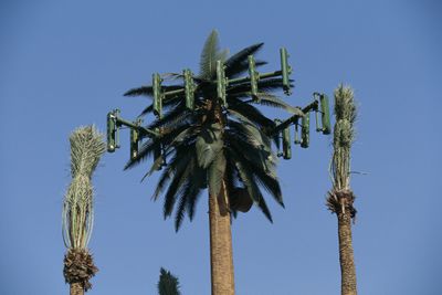 Een cellulaire antenne vermomd als een palmboom