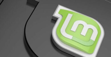 linux mint logo 63cd825837be406a9c9154ca8b688d24