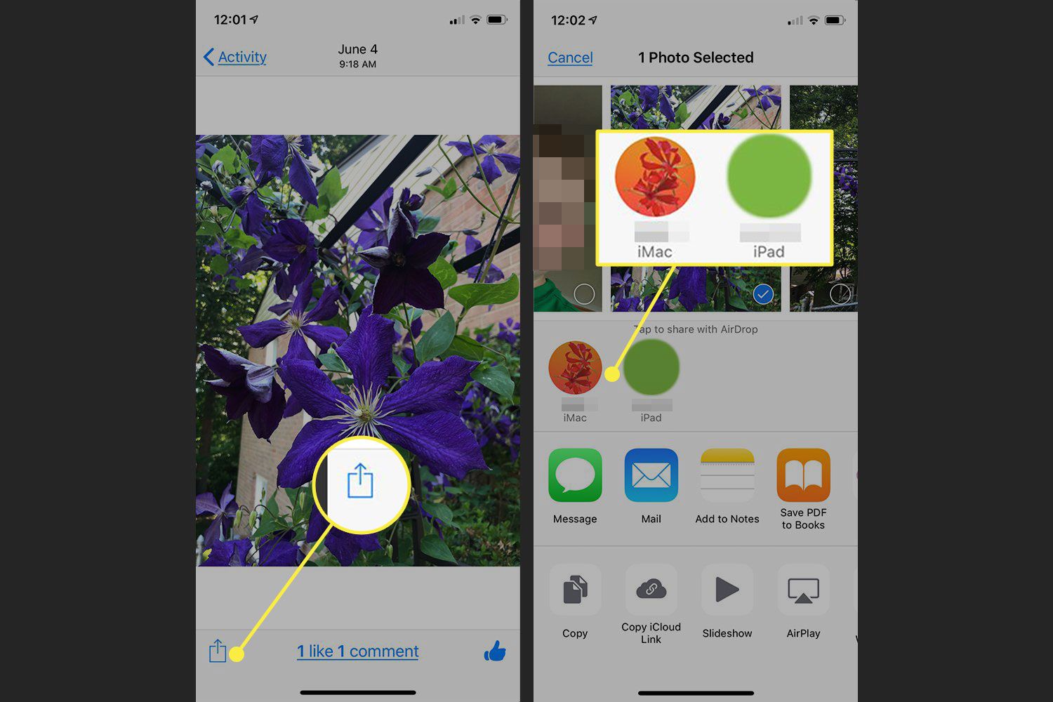 Schermafbeeldingen van een iPhone met de Share-knop en AirDrop-toegankelijke apparaten gemarkeerd