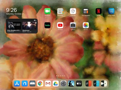 ipadian premium with facetime