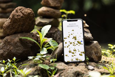 Een iPhone in de natuur bedekt met bijen