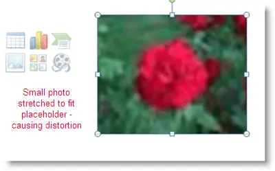 Kleine foto wordt uitgerekt door PowerPoint om in plaatsaanduiding voor afbeeldingen te passen