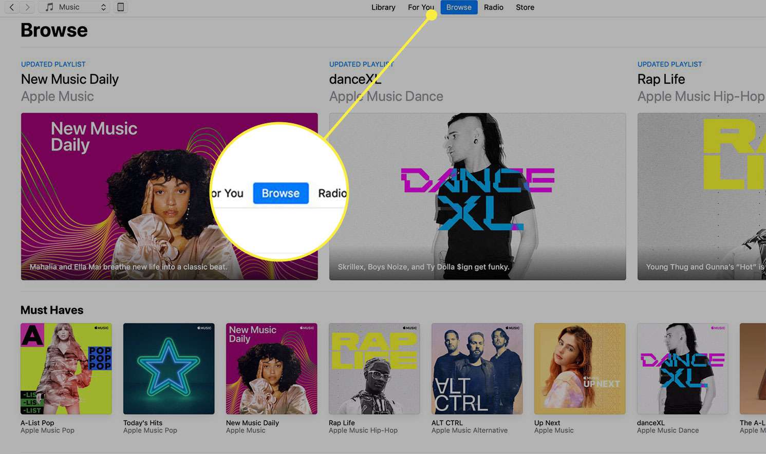 Een screenshot van iTunes met de kop Bladeren gemarkeerd