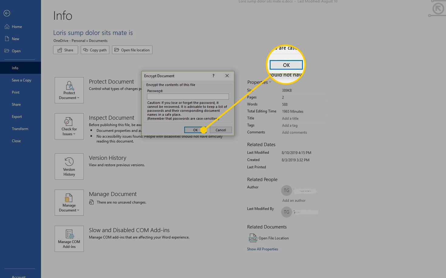 Wachtwoordinvoer in Word met de OK-knop gemarkeerd