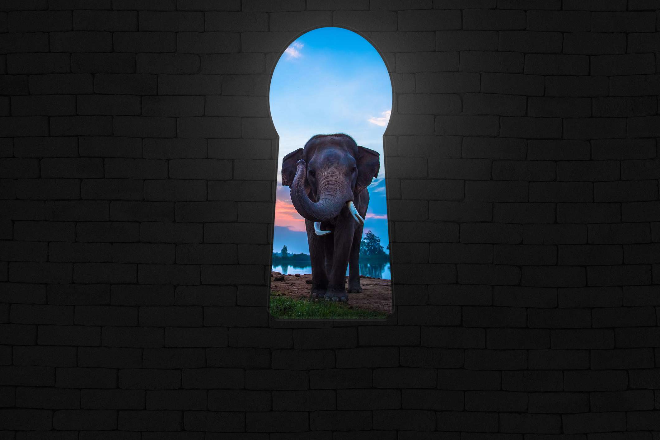 Een olifant wordt bekeken door een sleutelgatvormige opening in een bakstenen muur