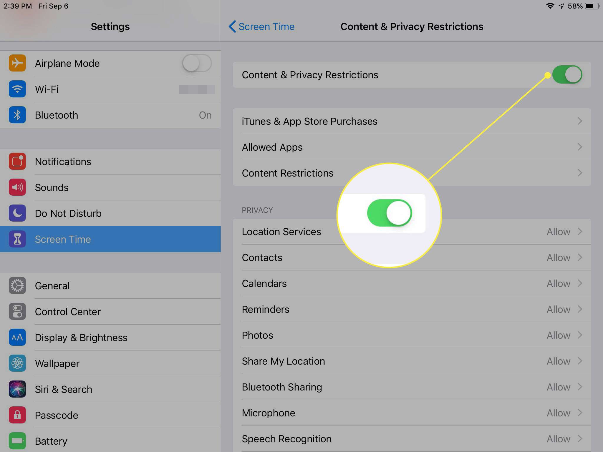 Een screenshot van iPad-inhouds- en privacybeperkingen met de tuimelschakelaar gemarkeerd