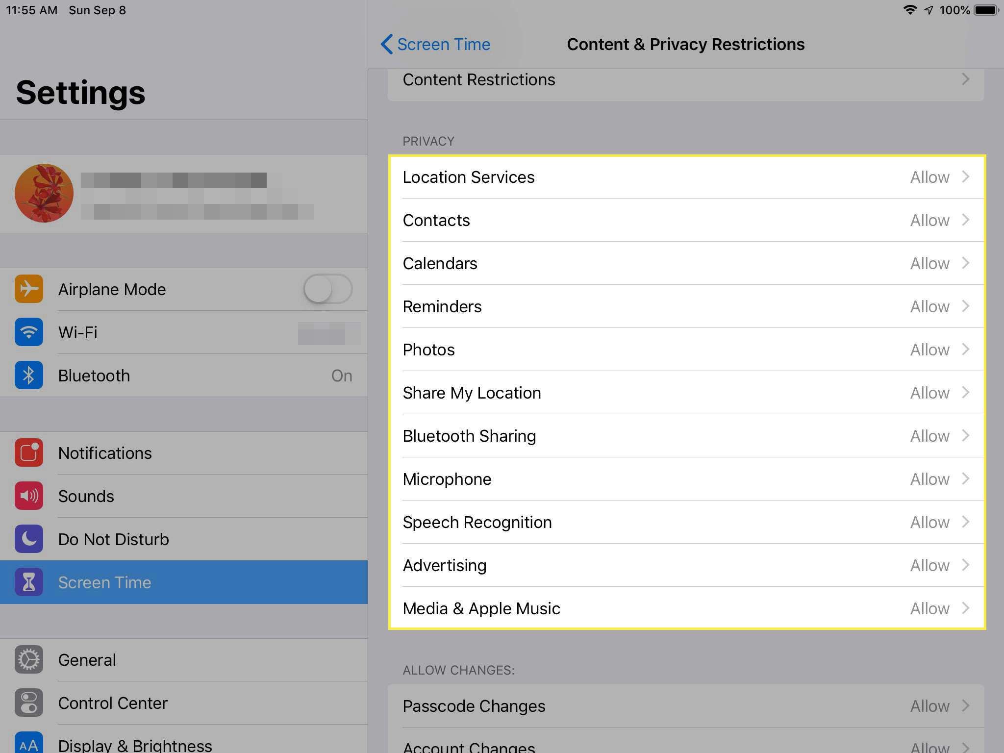 Een screenshot van inhouds- en privacybeperkingen op een iPad met het gedeelte Privacy gemarkeerd