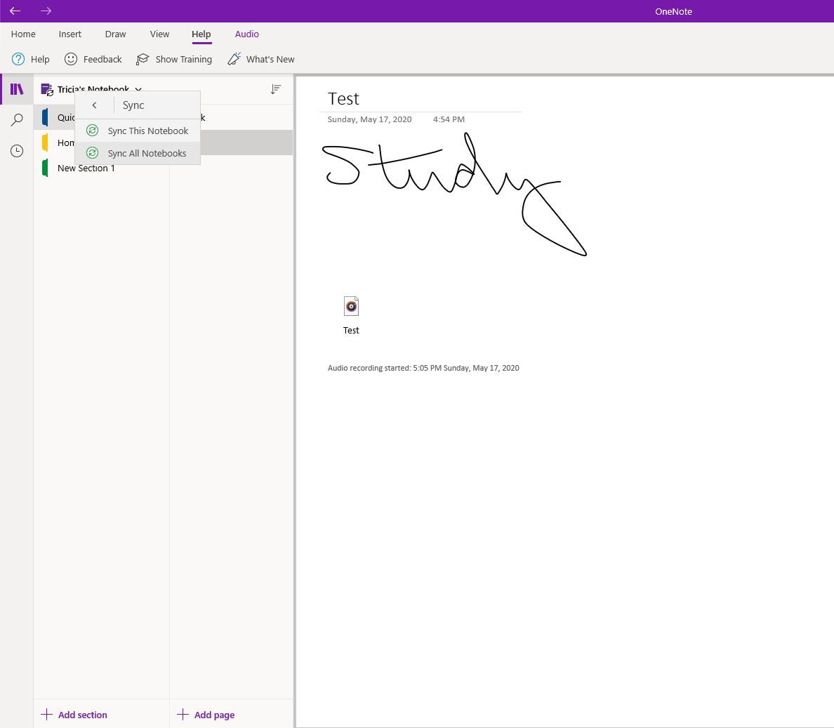 Synchroniseer uw notitieblokken Opties in Microsoft OneNote.