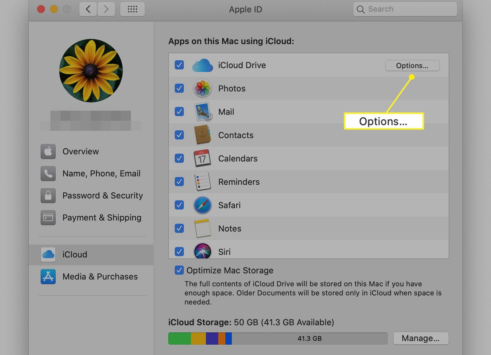 iCloud-voorkeuren met iCloud Drive-opties gemarkeerd