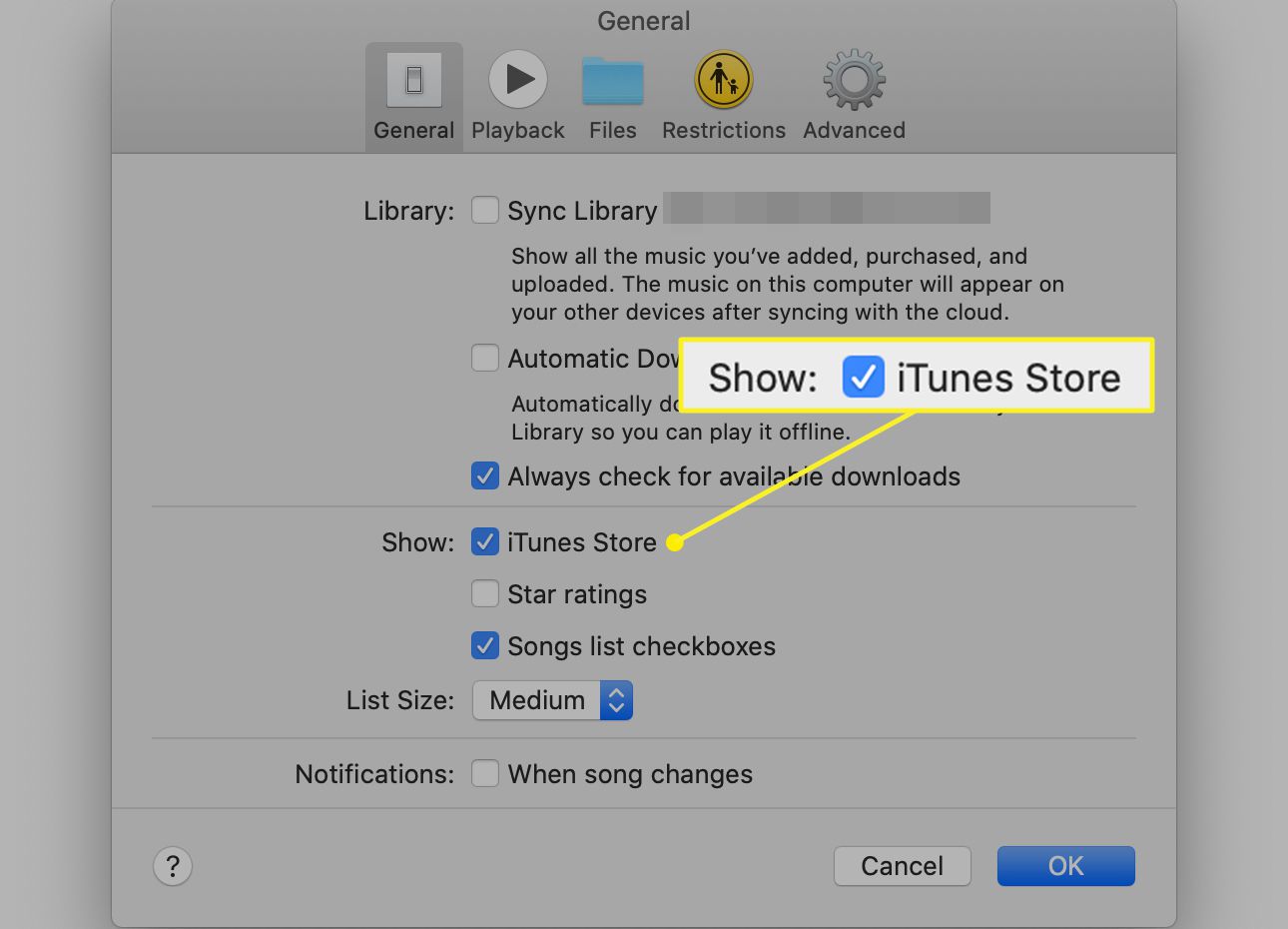 Muziek Algemene voorkeuren met Toon iTunes Store aangevinkt