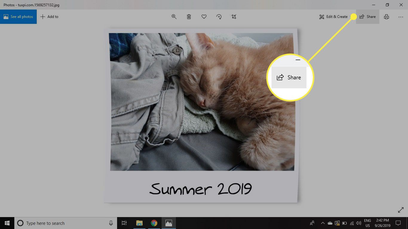 De Share-knop in Foto's voor Windows 10