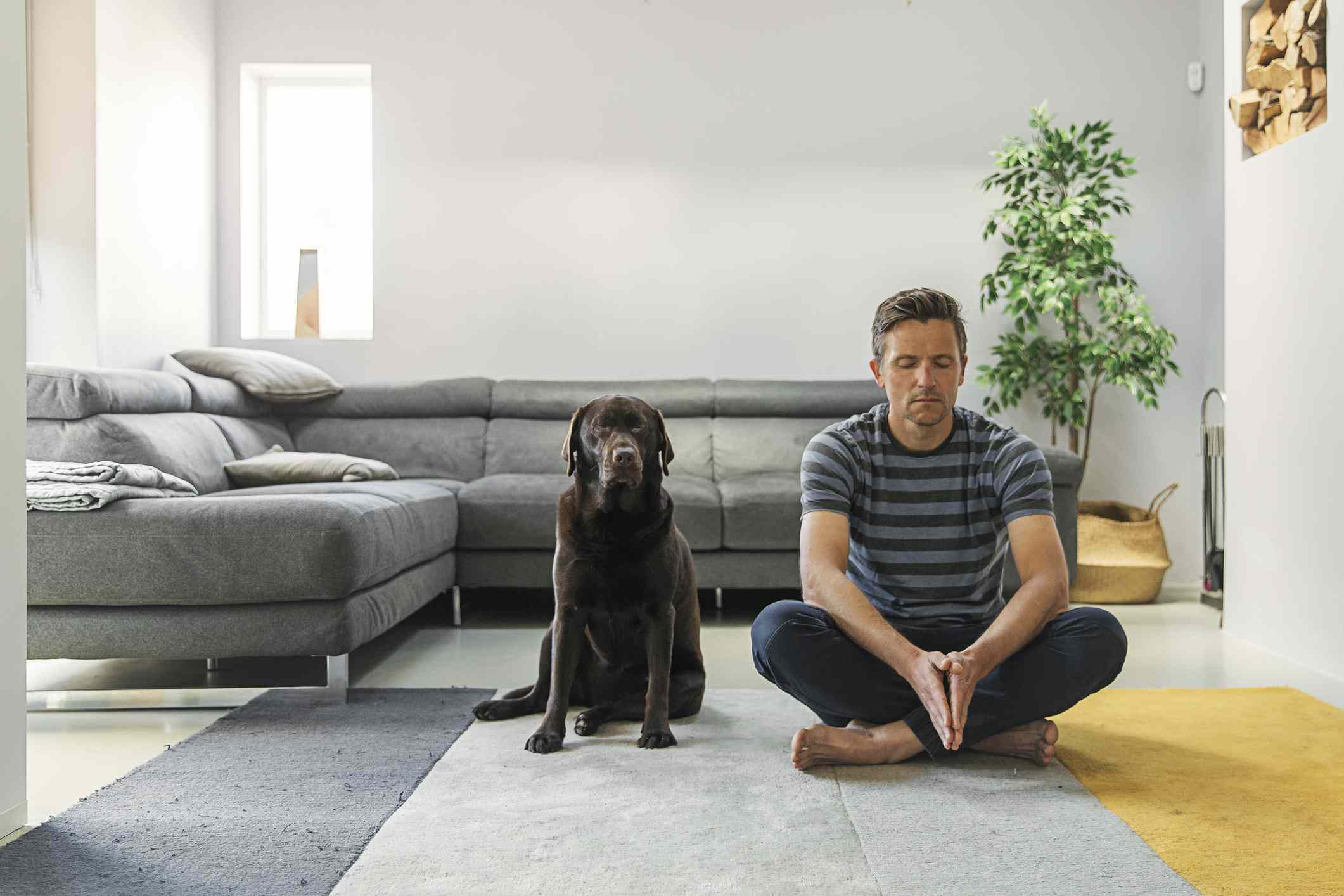 Een persoon die mediteert in hun woonkamer met een hond die geduldig in de buurt zit. 