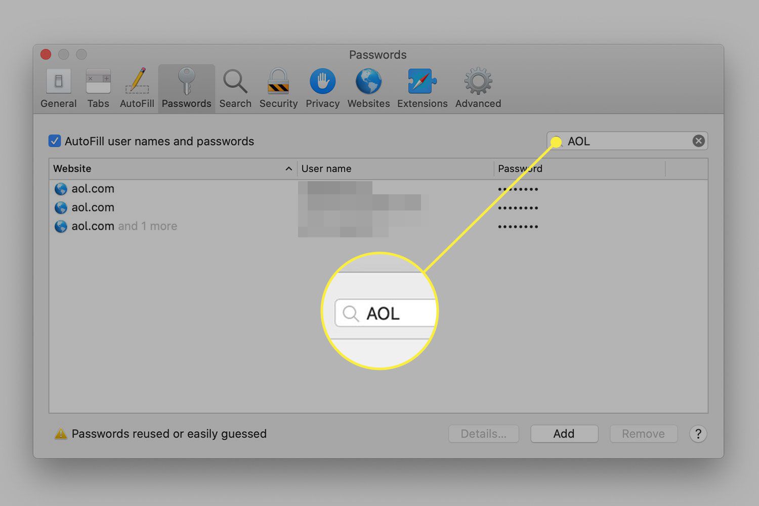 Een screenshot van Safari's wachtwoordvoorkeuren met de zoekbalk gemarkeerd