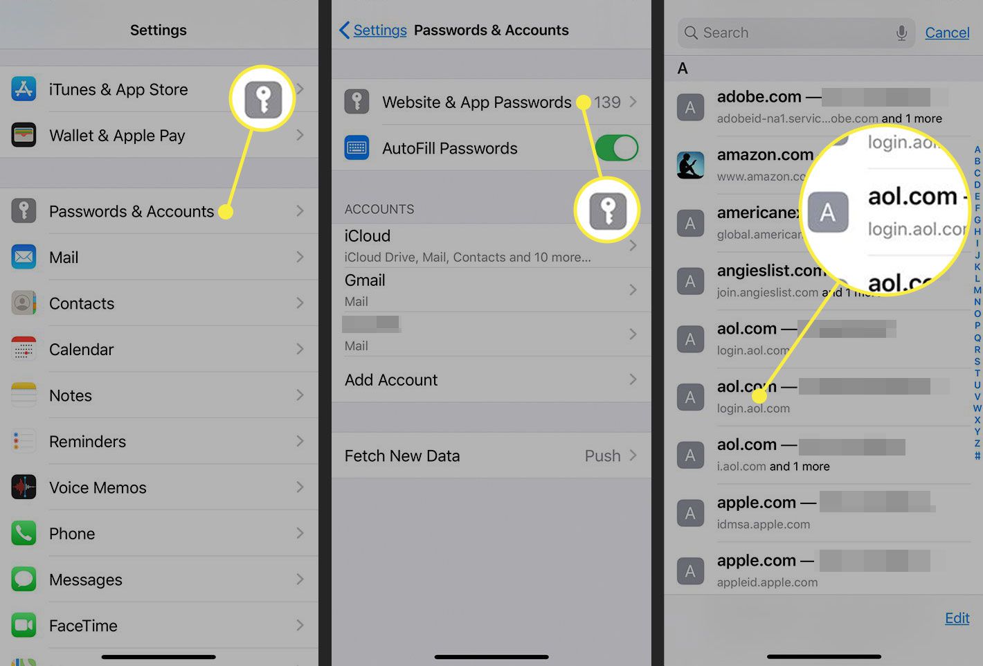 Schermafbeeldingen van een iPhone met wachtwoorden en accounts