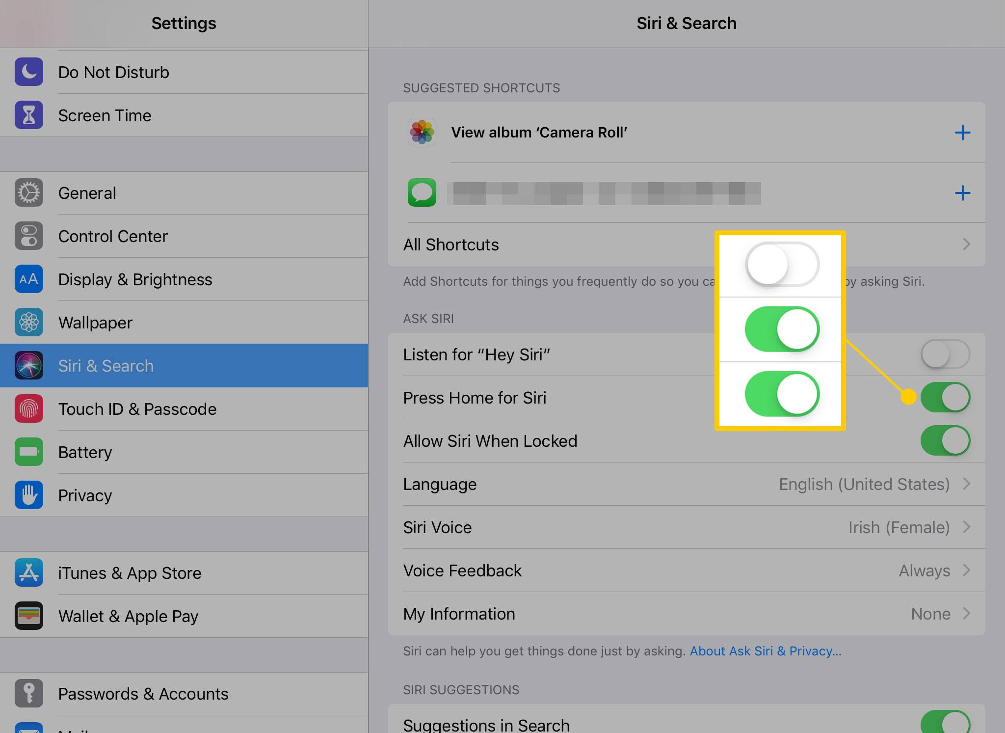 iPad Siri & zoekinstellingen