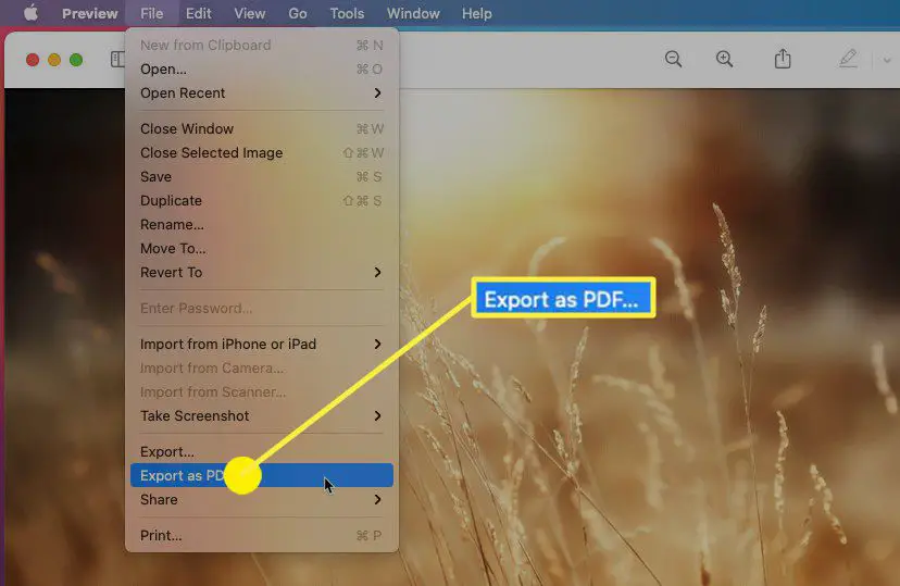 Exporteren als PDF in macOS