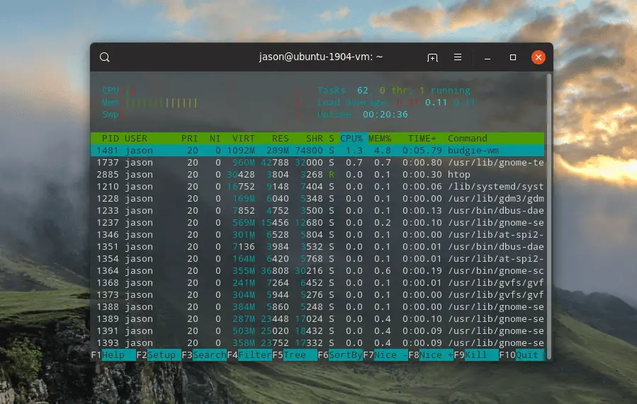 htop commando