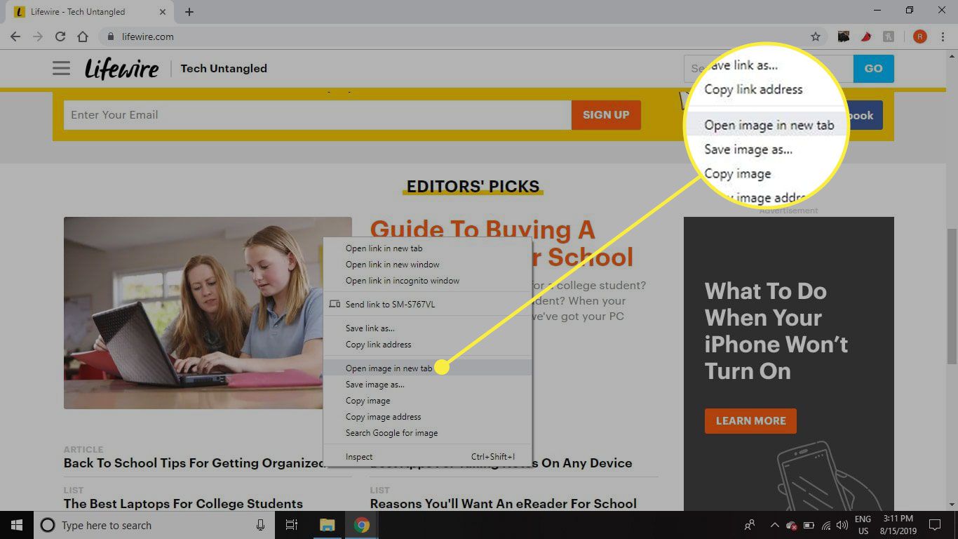 Een screenshot van een optiemenu van een webbrowser met de optie "Afbeelding openen in nieuw tabblad" gemarkeerd