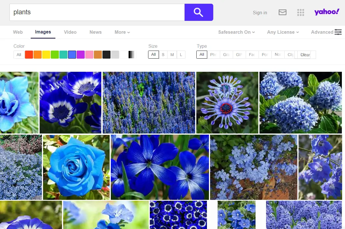 Yahoo geavanceerde zoekopties voor afbeeldingen