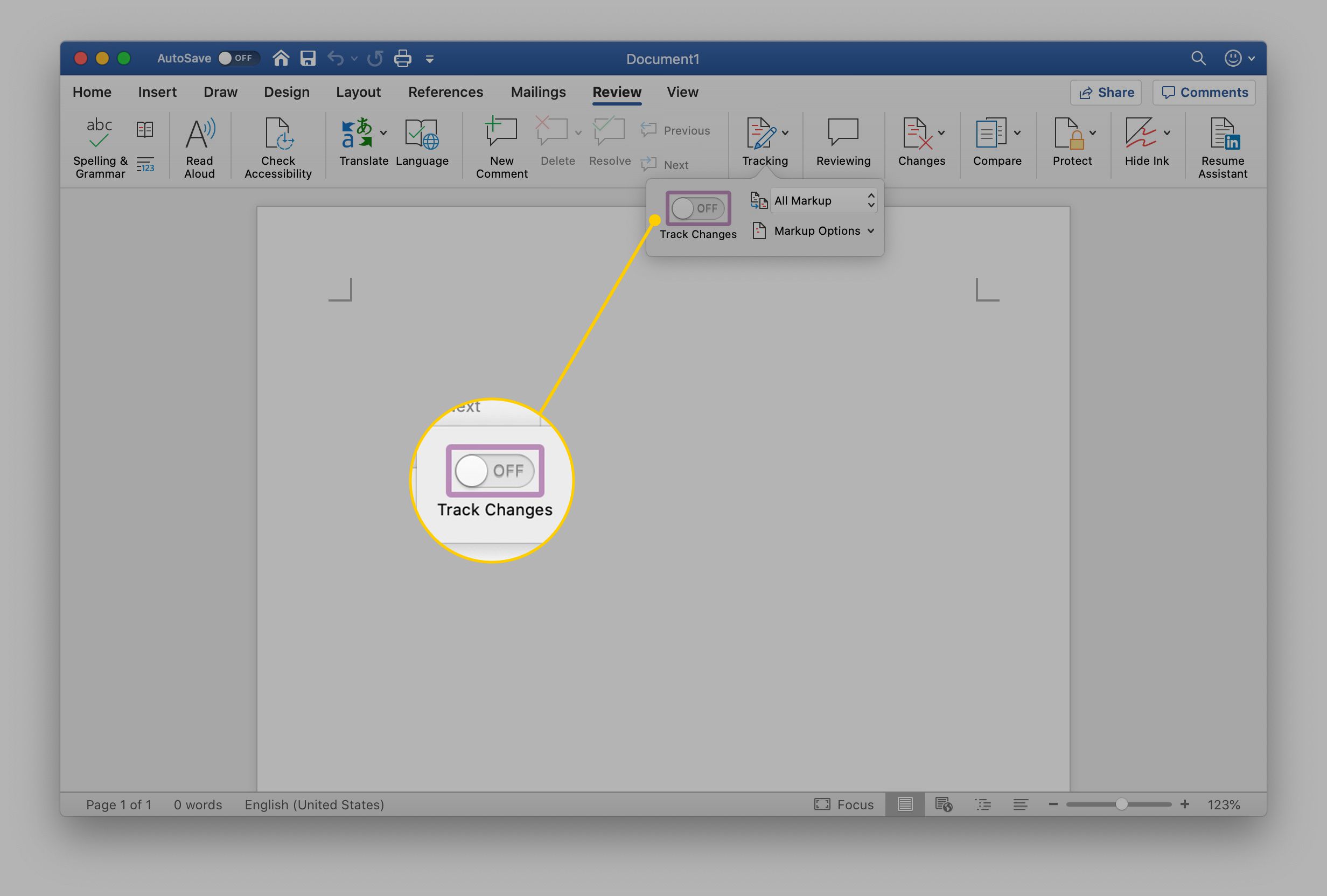 how to check accessibility in word on a mac