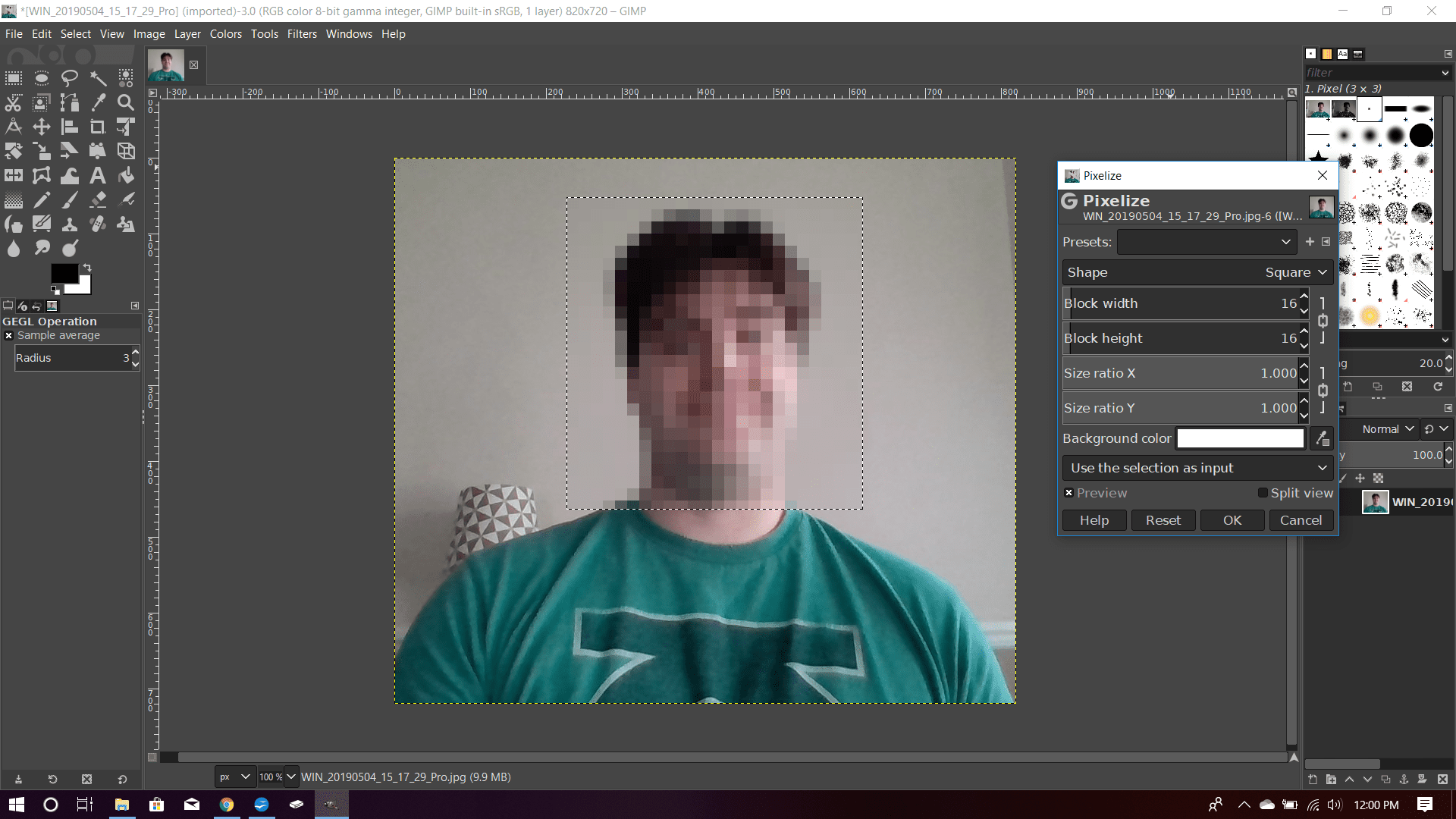 Een foto in GIMP met een gebied gekozen door het gereedschap Rechthoek selecteren