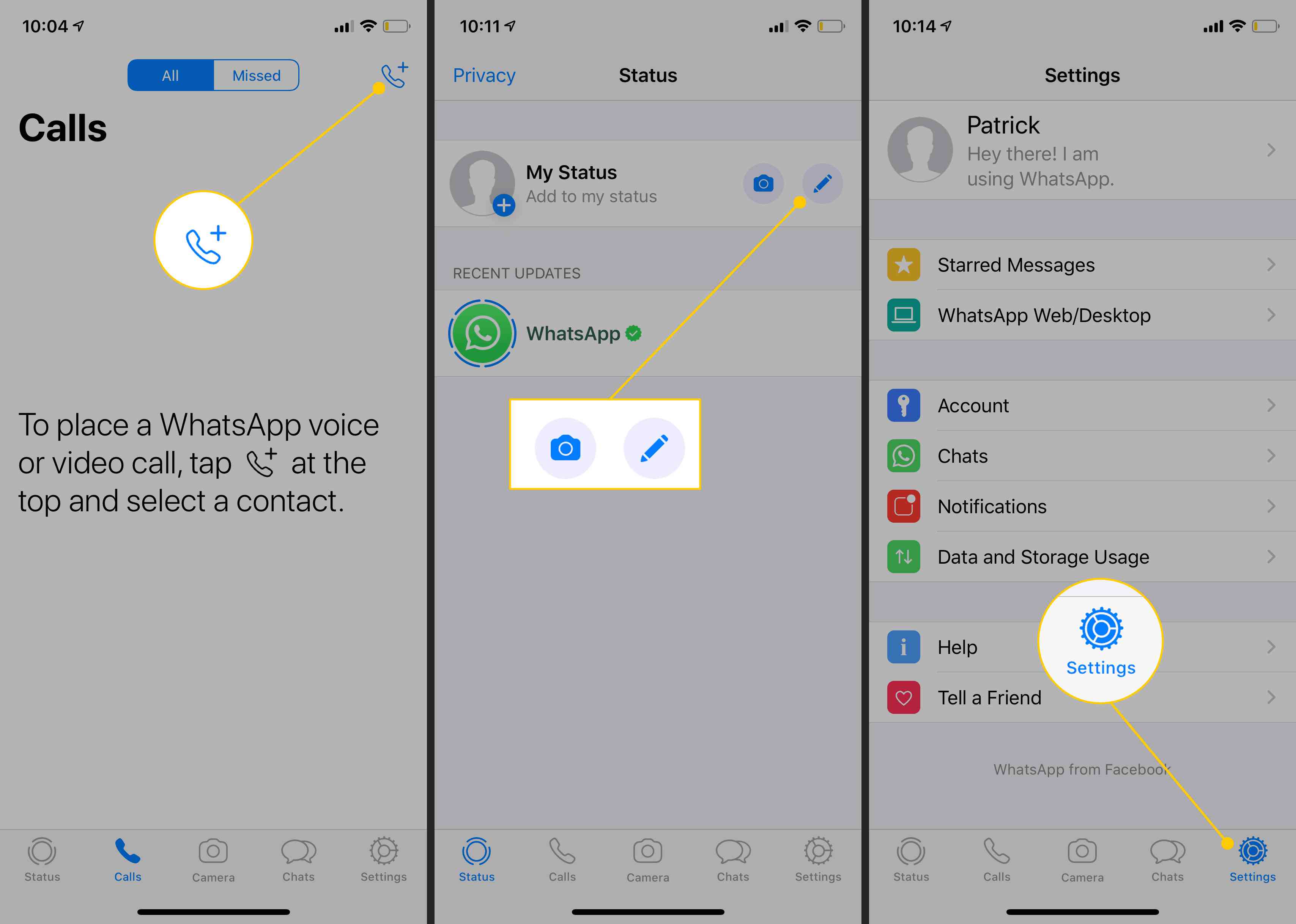 Oproepknop, Statusopties, Instellingenpictogram in WhatsApp op iOS